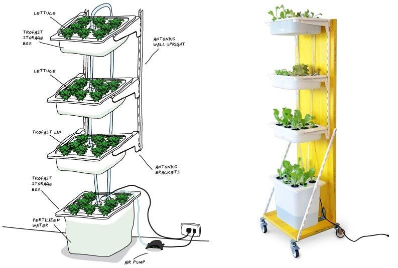 DIY Home Greenhouse